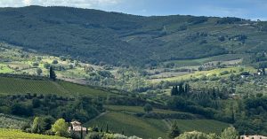 The Tuscan countryside in the Chianti region during a Detour Destination in Italy.